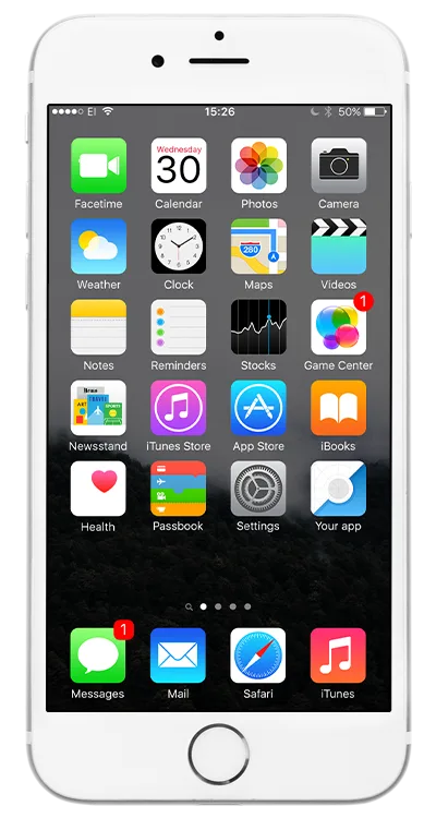 Features - 旺财28